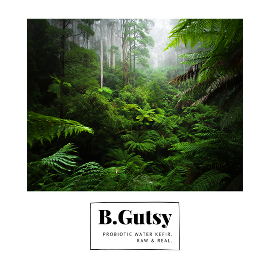 What Makes a Balanced Gut?