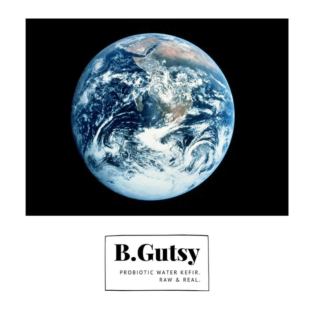 A Short History of Our Planet