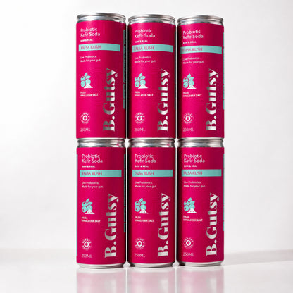 Falsa Rush (Falsa + Himalayan Salt) 250ml x 6